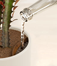 Load image into Gallery viewer, Cotton White stand:all
