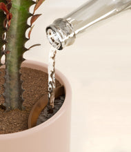 Load image into Gallery viewer, Sandy Pink stand:all
