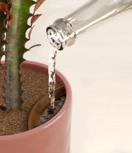 Load image into Gallery viewer, Hammered Rose Pink stand:all
