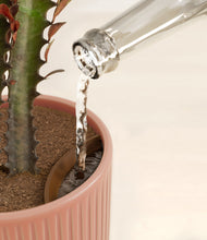 Load image into Gallery viewer, Striped Rose Pink stand:all
