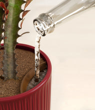 Load image into Gallery viewer, Striped Cherry Red stand:all
