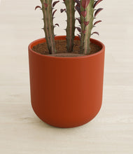 Load image into Gallery viewer, Earth Red stand:all
