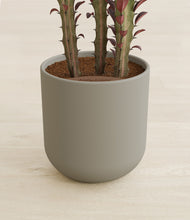 Load image into Gallery viewer, Sage Green stand:all
