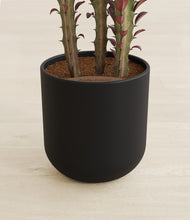 Load image into Gallery viewer, Stone Black stand:all
