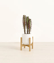 Load image into Gallery viewer, White stand:bamboo
