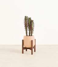 Load image into Gallery viewer, Gentle Pink stand:walnut
