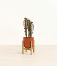 Load image into Gallery viewer, Glossy Red stand:bamboo
