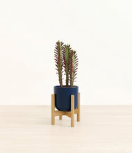 Load image into Gallery viewer, Twilight Blue stand:bamboo
