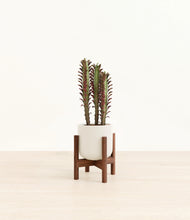 Load image into Gallery viewer, Cotton White stand:walnut
