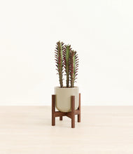 Load image into Gallery viewer, Sage Green stand:walnut
