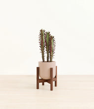 Load image into Gallery viewer, Sandy Pink stand:walnut
