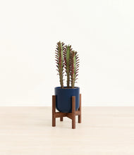 Load image into Gallery viewer, Twilight Blue stand:walnut
