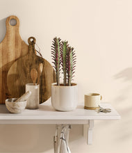 Load image into Gallery viewer, Snowdrift White
