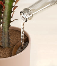 Load image into Gallery viewer, Sandy Pink stand:all
