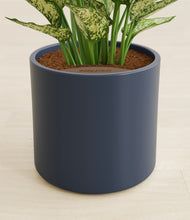 Load image into Gallery viewer, Deep Navy stand:all
