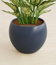 Load image into Gallery viewer, Deep Navy stand:all
