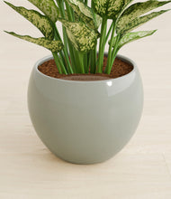 Load image into Gallery viewer, Deep Ocean stand:all
