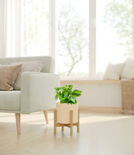 Load image into Gallery viewer, Cream stand:bamboo
