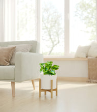 Load image into Gallery viewer, White stand:bamboo
