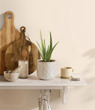 Load image into Gallery viewer, Hammered Ivory
