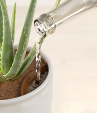 Load image into Gallery viewer, Hammered Ivory stand:all
