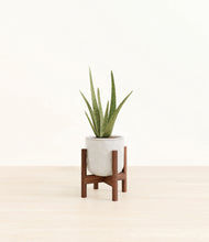 Load image into Gallery viewer, Hammered Ivory stand:walnut
