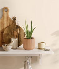 Load image into Gallery viewer, Striped Peach Pink
