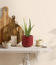 Load image into Gallery viewer, Striped Cherry Red
