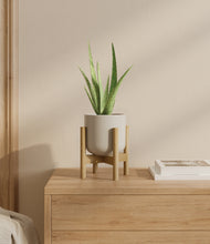 Load image into Gallery viewer, Cotton White stand:bamboo
