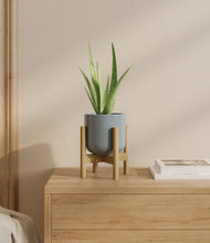 Load image into Gallery viewer, Misty Blue stand:bamboo
