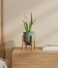 Load image into Gallery viewer, Reactive Aqua stand:bamboo
