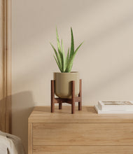 Load image into Gallery viewer, Sage Green stand:walnut
