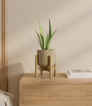 Load image into Gallery viewer, Sage Green stand:bamboo
