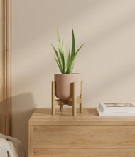 Load image into Gallery viewer, Sandy Pink stand:bamboo
