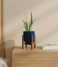 Load image into Gallery viewer, Twilight Blue stand:walnut
