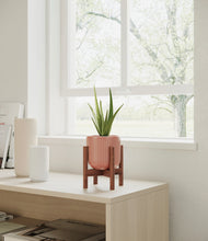 Load image into Gallery viewer, Striped Rose Pink stand:walnut
