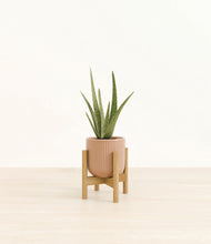 Load image into Gallery viewer, Striped Peach Pink stand:bamboo
