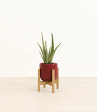 Load image into Gallery viewer, Striped Cherry Red stand:bamboo
