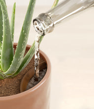 Load image into Gallery viewer, Hammered Peach Pink stand:all
