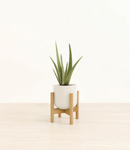 Load image into Gallery viewer, Cotton White stand:bamboo
