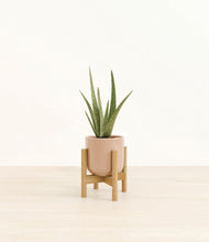 Load image into Gallery viewer, Glossy Pink stand:bamboo
