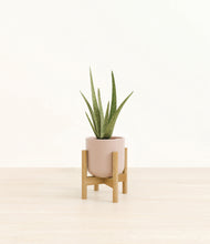 Load image into Gallery viewer, Sandy Pink stand:bamboo
