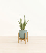 Load image into Gallery viewer, Reactive Aqua stand:bamboo
