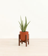 Load image into Gallery viewer, Glossy Red stand:walnut
