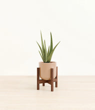 Load image into Gallery viewer, Glossy Pink stand:walnut
