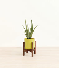 Load image into Gallery viewer, Key Lime Yellow stand:walnut
