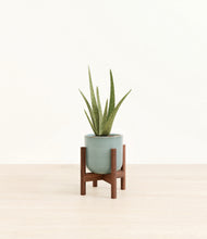 Load image into Gallery viewer, Reactive Aqua stand:walnut
