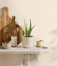 Load image into Gallery viewer, Snowdrift White
