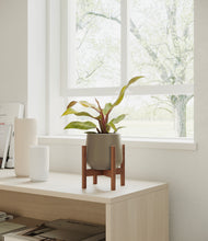 Load image into Gallery viewer, Olive stand:walnut
