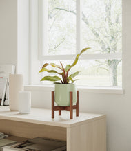 Load image into Gallery viewer, Turquoise stand:walnut
